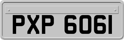 PXP6061