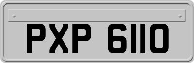 PXP6110