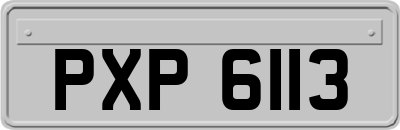 PXP6113