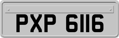 PXP6116