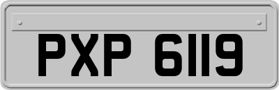 PXP6119