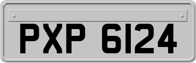 PXP6124