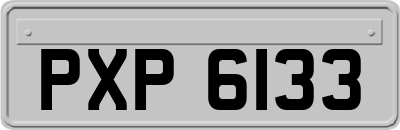 PXP6133