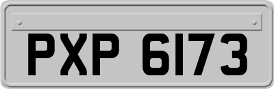 PXP6173