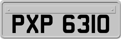 PXP6310