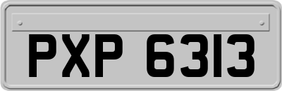 PXP6313