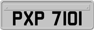 PXP7101