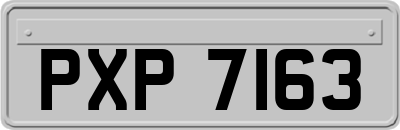 PXP7163