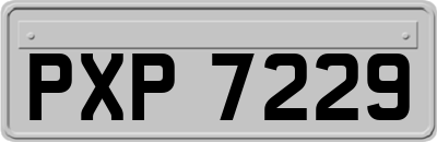 PXP7229