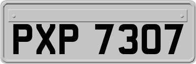 PXP7307