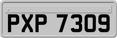 PXP7309