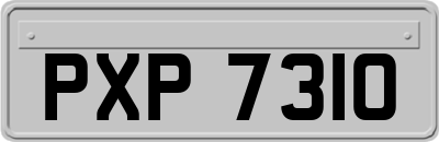 PXP7310