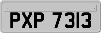 PXP7313