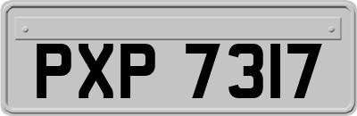 PXP7317