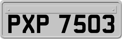 PXP7503