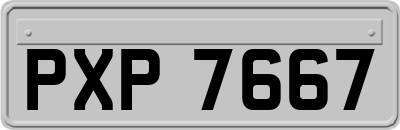 PXP7667