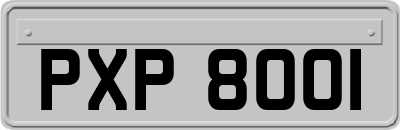 PXP8001