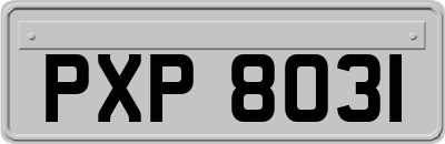 PXP8031