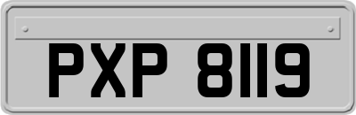 PXP8119