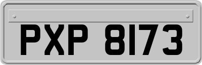 PXP8173