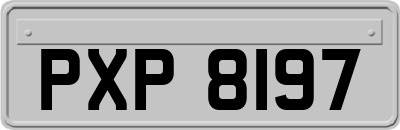 PXP8197