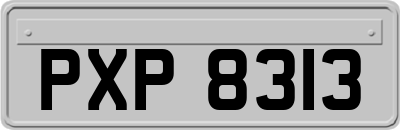 PXP8313