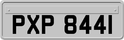 PXP8441