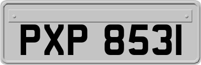 PXP8531