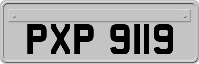 PXP9119