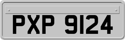 PXP9124