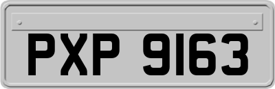 PXP9163