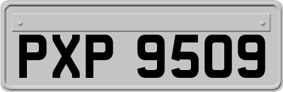 PXP9509