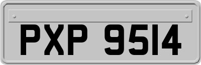 PXP9514