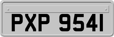 PXP9541