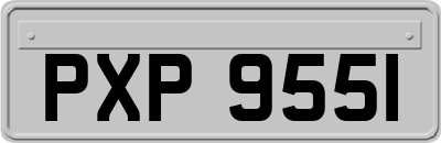 PXP9551