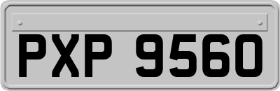 PXP9560