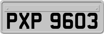 PXP9603