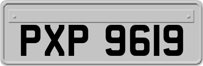 PXP9619