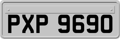 PXP9690