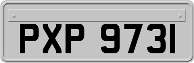 PXP9731