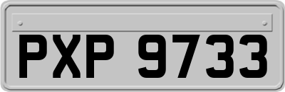 PXP9733