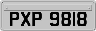 PXP9818