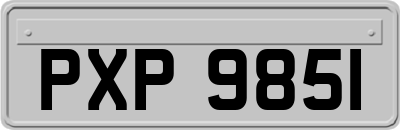 PXP9851