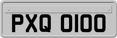 PXQ0100