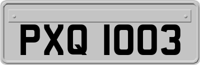 PXQ1003