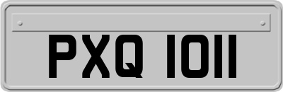 PXQ1011