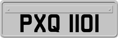 PXQ1101