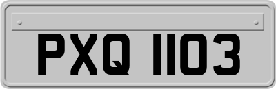 PXQ1103