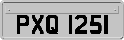 PXQ1251