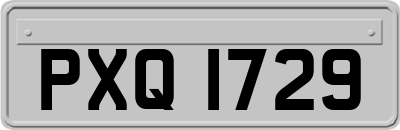 PXQ1729